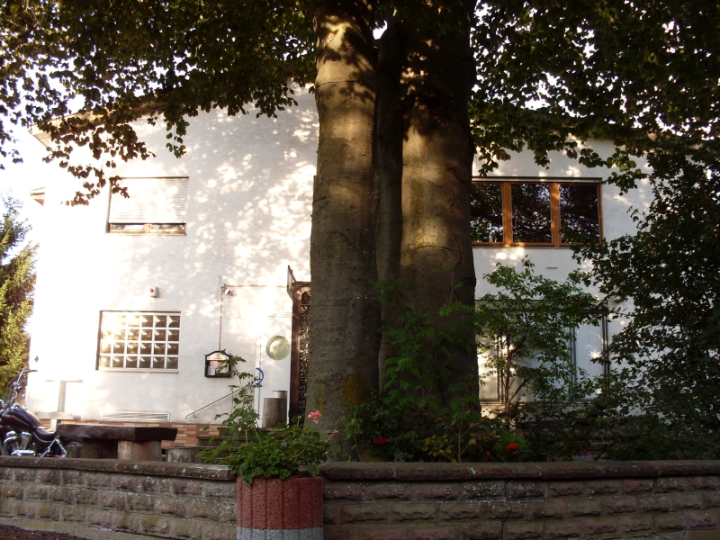 Haus-u-Baum